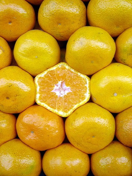 450px-Naranjas_-_Oranges