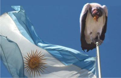buitre-y-bandera-argentina